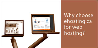 How to choose a Web Hosting Company?