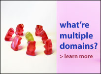 Multiple Domain Hosting