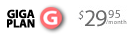 1,000 MB of Hosting only $29.95