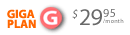 2GB Web Hosting